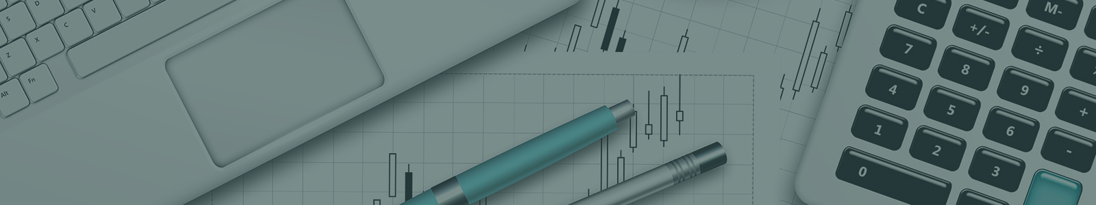 Customized Accounting Solutions